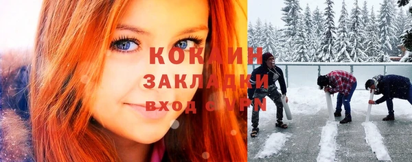 дживик Алексин