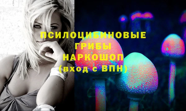 дживик Алексин