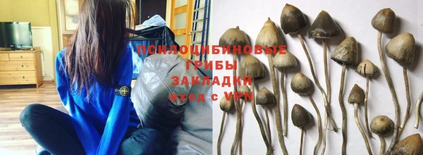 стаф Алексеевка