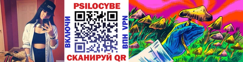 где купить наркотик  Долинск  Галлюциногенные грибы GOLDEN TEACHER 